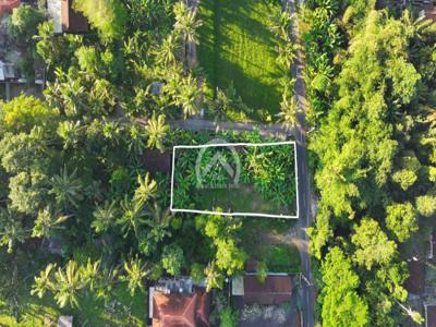 Land for lease In Lod Tunduh Ubud