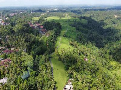 Land For Sale MURAH Lokasi Strategis View Sawah, Hutan Jungle & Sungai