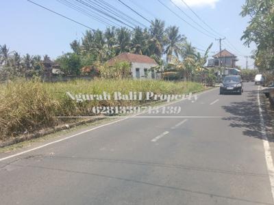 Murah Tanah Disewakan Luas 32,5 Are Kawasan Villa di Ubud