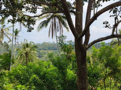 tanah kebun view panorama .sawah dan laut di bali