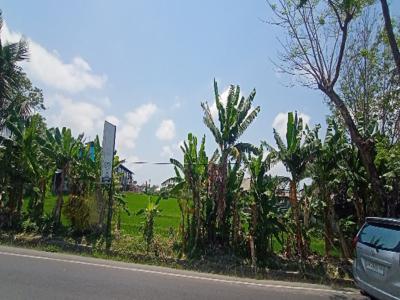 Tanah Komersil strategis Raya Kerobokan Bali