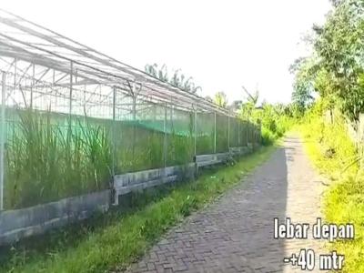 Tanah Lahan Kebun Greenhouse di Tutur Nongkojajar Purwodadi Pasuruan