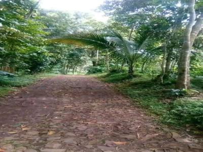 Tanah Lahan Untuk Perkebunan Kandang Peternakan di Gerbo Nongkojajar