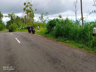 Tanah murah,akses bedah menoreh.view istimewa