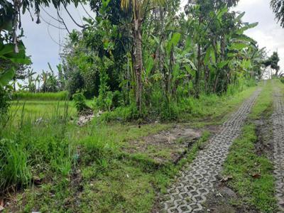 Tanah Pantai Nyanyi Cocok untuk Villa Zona Kuning Berabab Bali