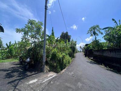 Tanah Siap Bangun View Sawah di Jalan Raya Tumbak Bayuh, Canggu