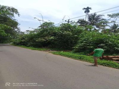 Tanah strategis 900 ubin pinggir jalan propinsi Sumbang Banyumas