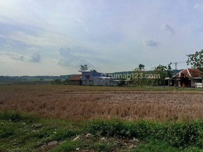 Dijul Tanah SHM Pinggir jalan Aspal Purwosari Mijen Dekat Sirkuit