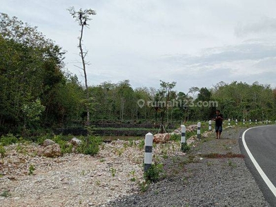 Jualtanahwonosari,Jualtanahgunungkidul,jualtanahjogja,jualtanahmurah,jualtanahjakarta,jualtanahindonesia,tanahmurahbali,tanahmurahsurabaya,tanahmurahkalimantan,tanahmurahjogja,