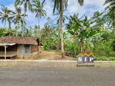 Dijual tanah kebun hook di desa Kelir, kalipuro Banyuwangi