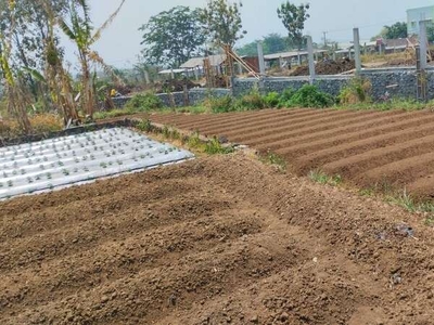 Dijual Tanah Murah Merjosari Kota Malang Area Perum Graha Dewata
