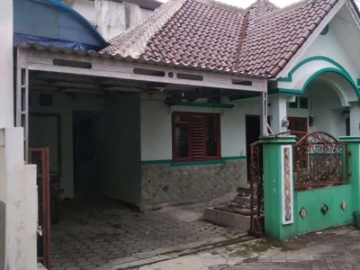 Disewakan rumah minimalis dalam komplek diseputaran kampus ugm