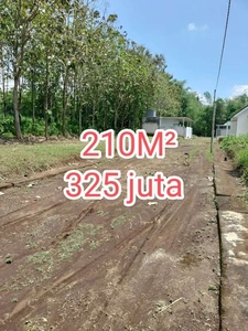 HARGA MIRING TANAH PRIBADI DIJUAL CEPAT