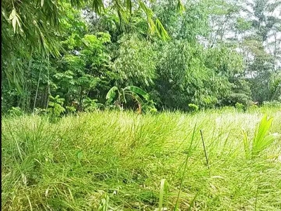 Jual Tanah Industri di Citeras, Rangkasbitung - Lebak Banten
