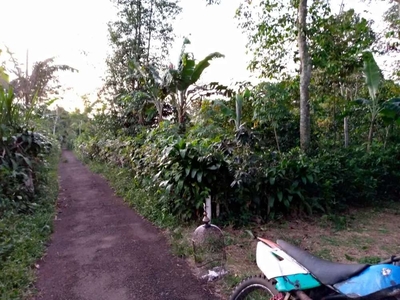 Kebun 100%datar