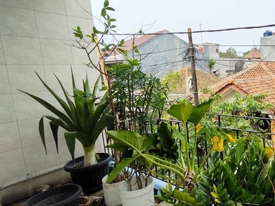 RUMAH LELANG MURAH 2 LANTAI PERUMNA 2 KARAWACI TANGERANG