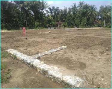 Tanah Yogyakarta Cocok Untuk Villa Lokasi Daerah Moyudan