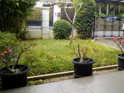 Disewa Di sewakan Rumah Minimalis dan Asri Di Menteng, Jakarta Pu