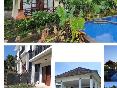 Dijual Cepat 12 Villa/Cottage dengan View Laut di Lovina Singaraja Bali