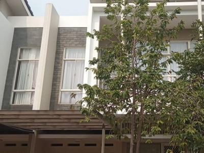 Disewa Disewakan Rumah di greenwich BSD Tangerang