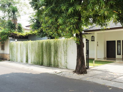 For Sale rumah cantik di lingkungan yang asri dan Teduh area Jakarta Selatan dekat Citos