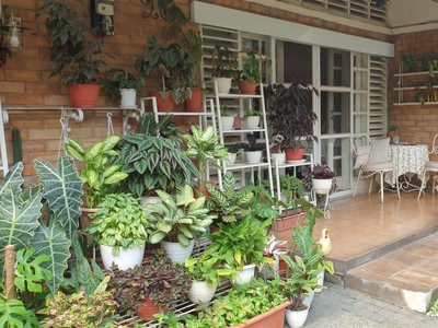 Disewa Rumah Bagus Di Pondok Indah Indah Jakarta Selatan