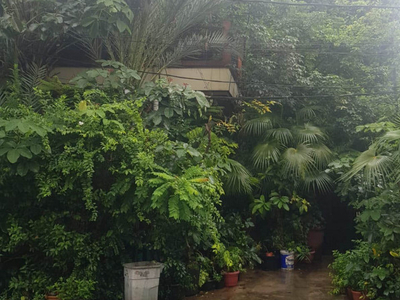 Rumah Jl Mokmer Raya, bebas banjir, Asri, nyaman & Rindang, Luas 220m2