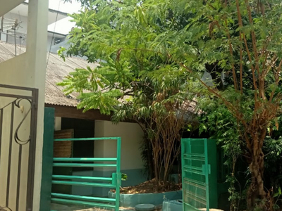 Dijual Rumah tua di Jl. Kayu Putih Utara