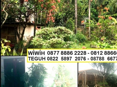 Dijual Rumah Tua hitung tanah 914m harga 19.5Jt/m nego sampai dea