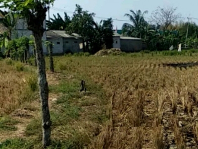 Tanah di Kecamatan Klari - Karawang Timur Jawa Barat