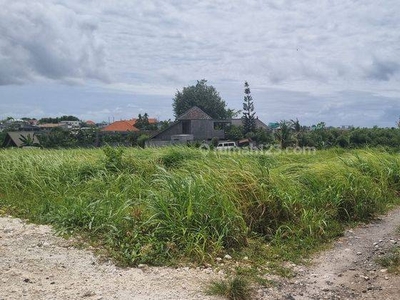 Tanah Disewakan View Sawah, Area Canggu