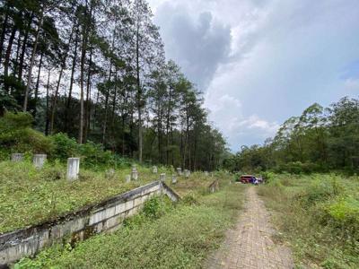 TANAH PERHUTANI SUBUR LUAS HARGA ISTIMEWA DI SONGGORITI KOTA BATU.