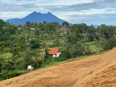 Tanah berkontur Pinggir jalan Altenatif Puncak SHM Cisarua Puncak Bogor