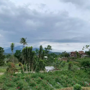 DIJUAL TANAH di daerah WISATA BANDUNGAN AMBARAWA Duren (JUAL CEPAT)