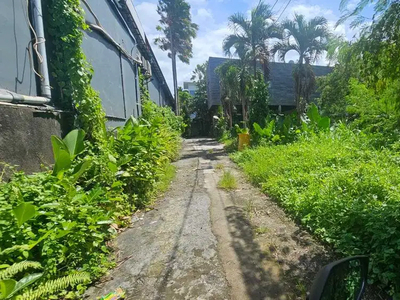 Dijual tanah komersil lokasi canggu jalan kaki ke pepito