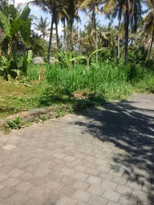 Dijual Tanah Potensial Utk Villa Kawasan Pantai Saba Gianyar Bali
