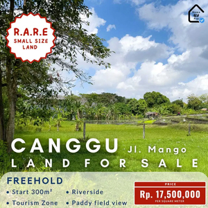 Jual Tanah 3 are Lokasi Premium di Jl Pantai Berawa area Investasi