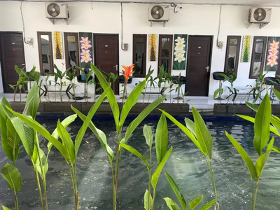 Kos Nyaman Samping Pool: Mulia Inn Denpasar Imam Bonjol 255