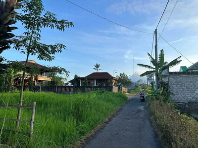 Utara Jl Damai Jogja, Tanah View Sawah Cocok Villa, SHM Pekarangan