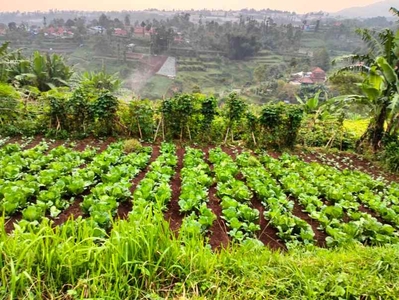 142 Tumbak Kebun View Bagus Untuk Villa Pasirhalang Cisarua Bandung