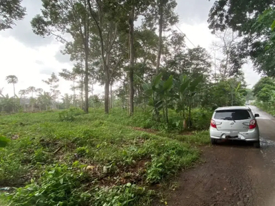 DI JUAL TANAH STRATEGIS DI KEDUNGPANE NGALIYAN - SEMARANG BARAT