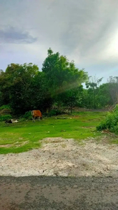 Dijual tanah dekat Pantai Melasti jalan pura masuka ungasan / Dekat ka