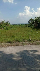 Dijual Tanah Di Anggaswangi Kec Godong Kab Grobogan