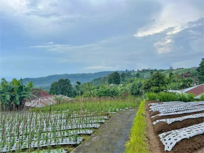 DIJUAL TANAH PARANG IJO KEMUNING