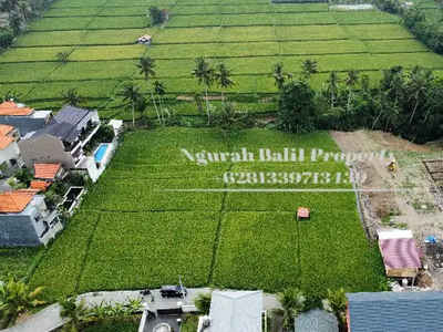 Disewakan Tanah Murah Luas 18 Are View Sawah dan Gunung di Ubud Bali