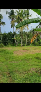 kebun 25 are sudah aspek perumahan