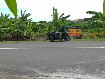 Land for sale in Pererenan, Canggu, Close to Echo Beach