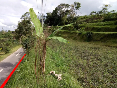 Tanah Di Banjar Bukian Plaga Petang Badung cocok Lahan Investasi