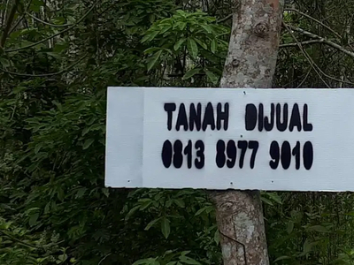 Tanah Dijual Talang Buluh Gandus Palembang