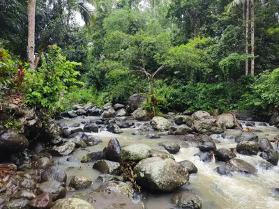 Tanah kebun durian langsung dengan sungai di bali